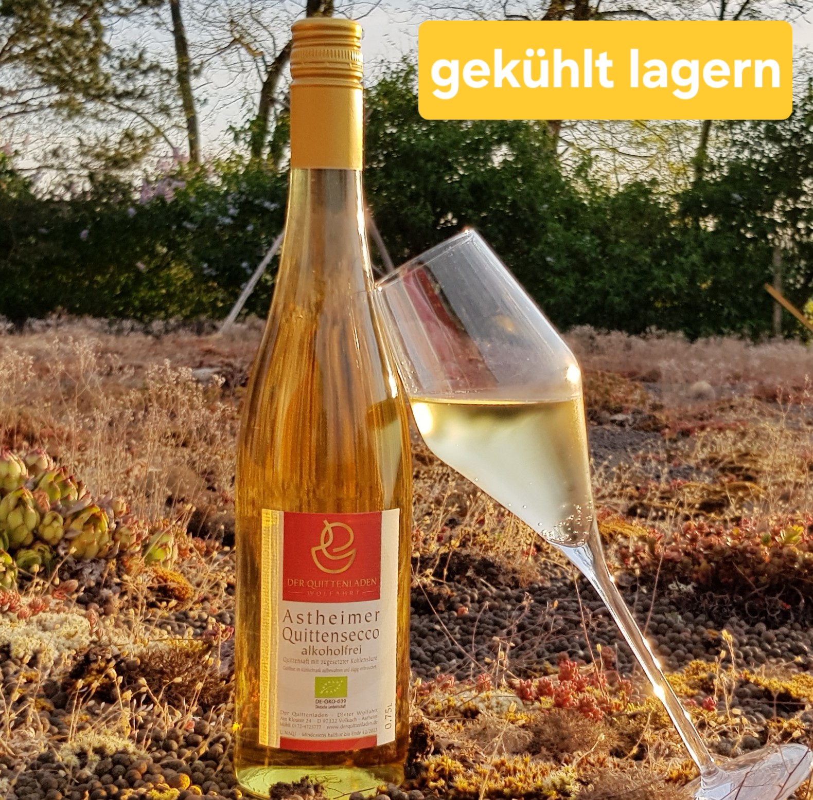 Astheimer Quittensecco Bio alkoholfrei